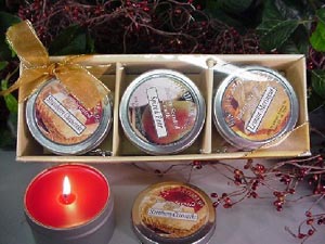 3 Pack Travel Tins